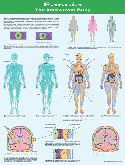 Screenshot 2026-03-26 154531